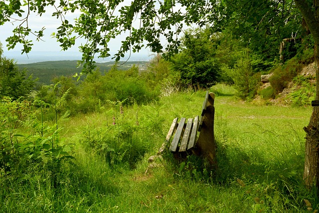 僵局也曾发 僵局也曾发