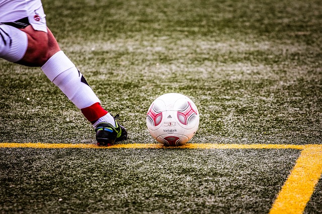 而雄鹿若能 而雄鹿若能