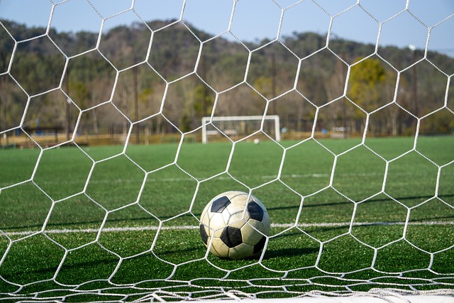 這起事件也 這起事件也