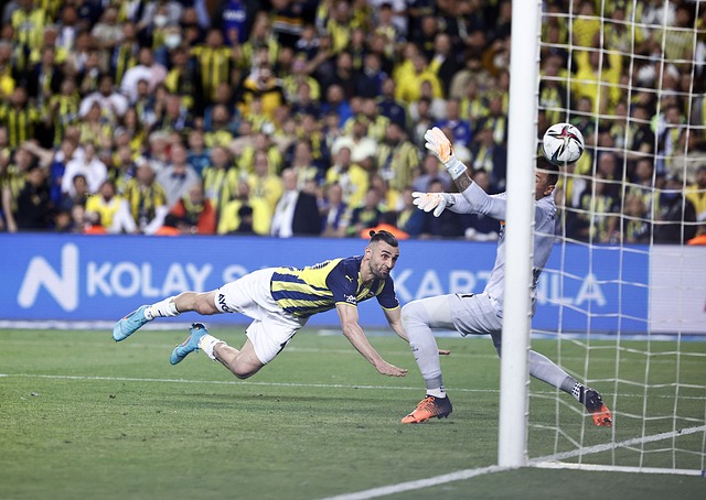 谁将成为最 谁将成为最