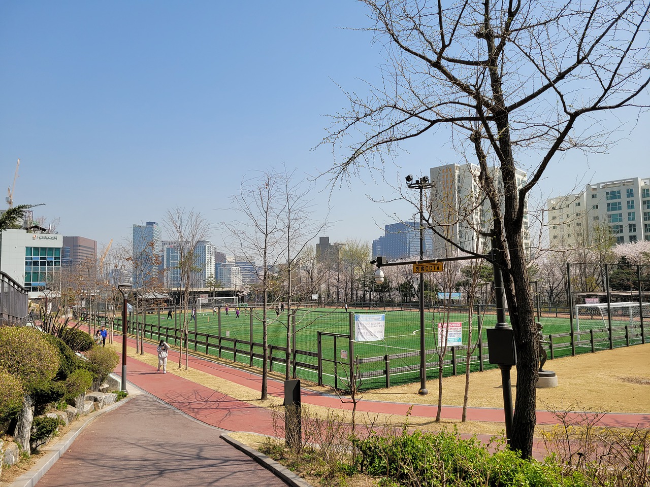 这种长远的 这种长远的